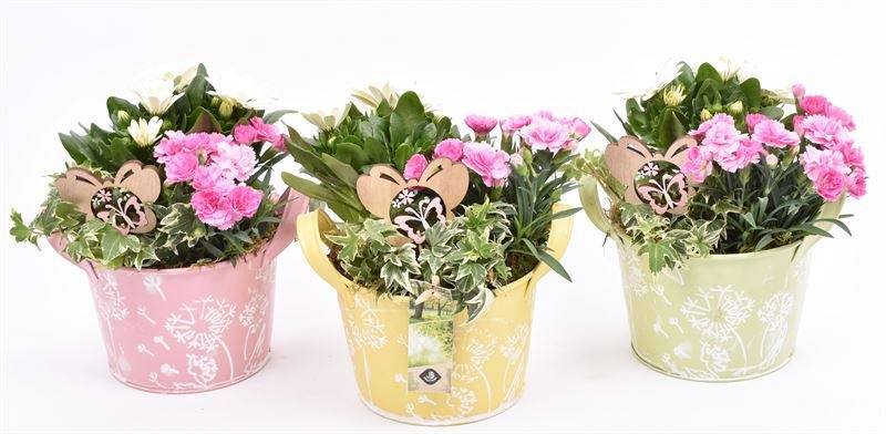 Zink teil bloemdecor kl.mix 18cm, D 18