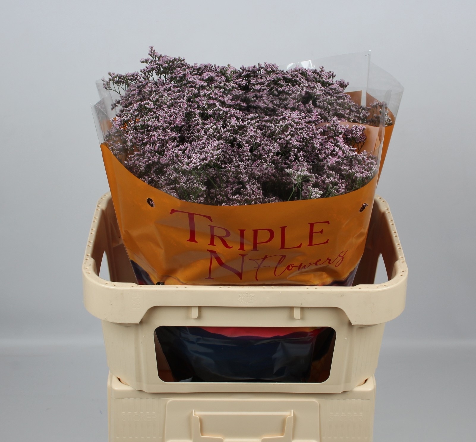 Лимониум Сафора Оши Пинк 70 (светло-роз.), шт.