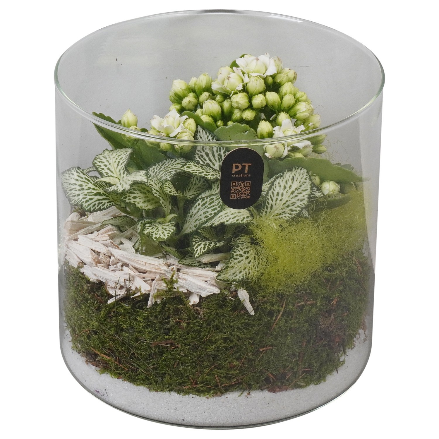 PTIG2608 Arrangement Indoor in glas cylinder, D 15