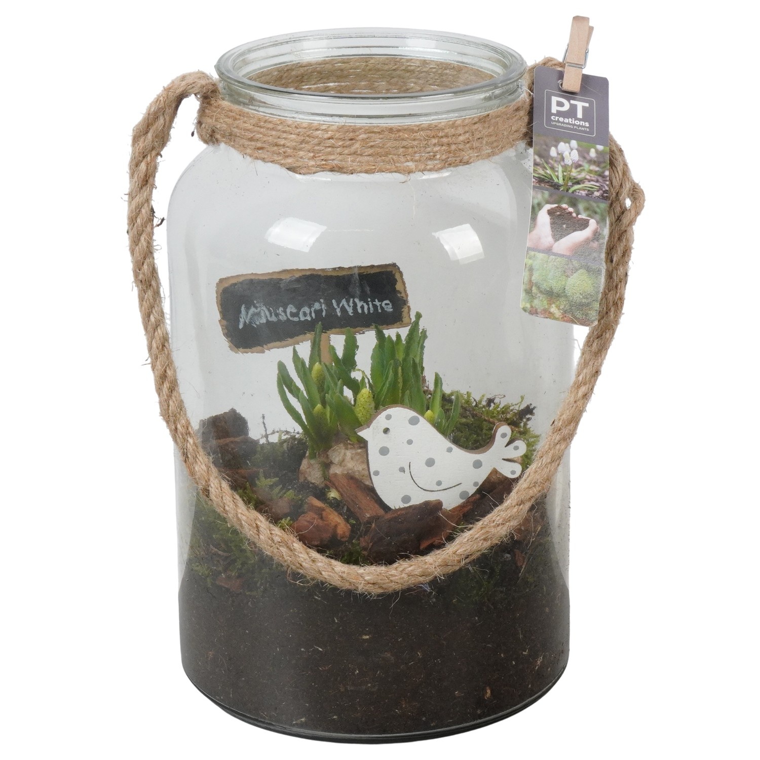 PTWMB8170 Arrangement Muscari White in glazen vaas, D 16