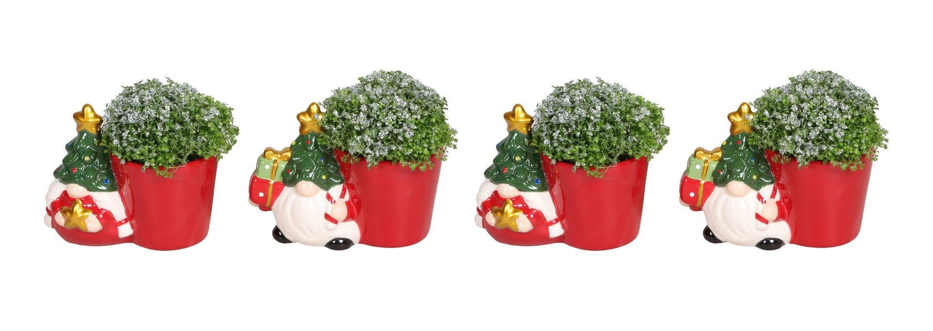 L 67444 With Selaginella Apoda Glitter 6 cm, D 6 cm