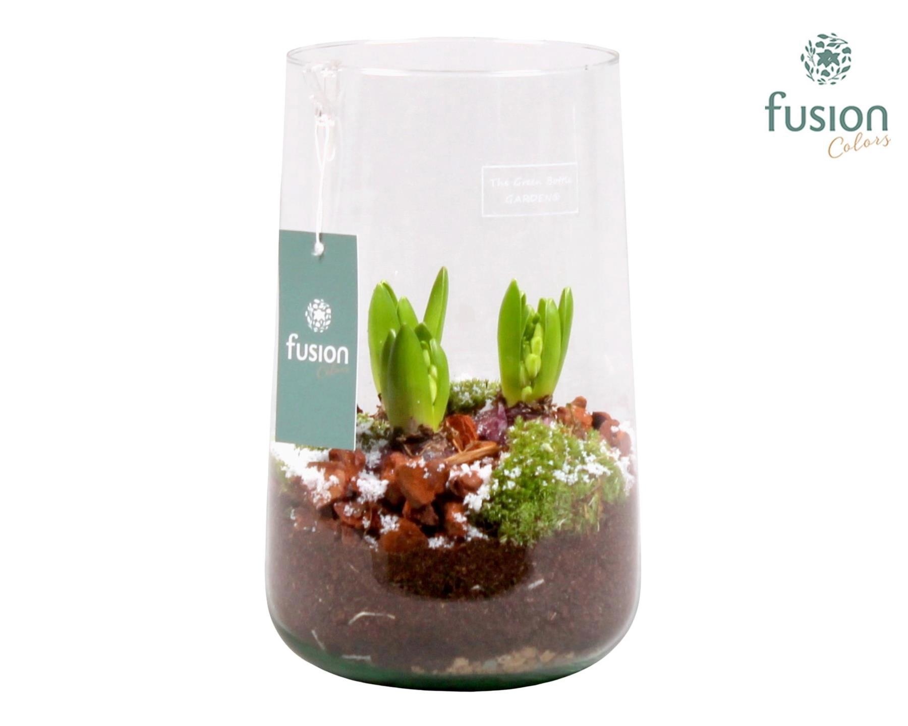 Green Bottle Deline Large Kerst met Hyacint, D 15