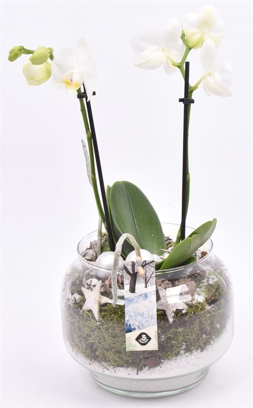 Glas op voet 18cm, D 18 cm