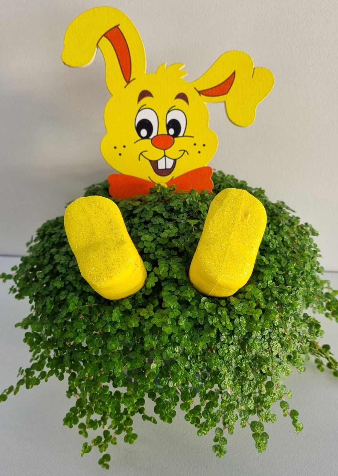 P61 paashaas geel, D 13