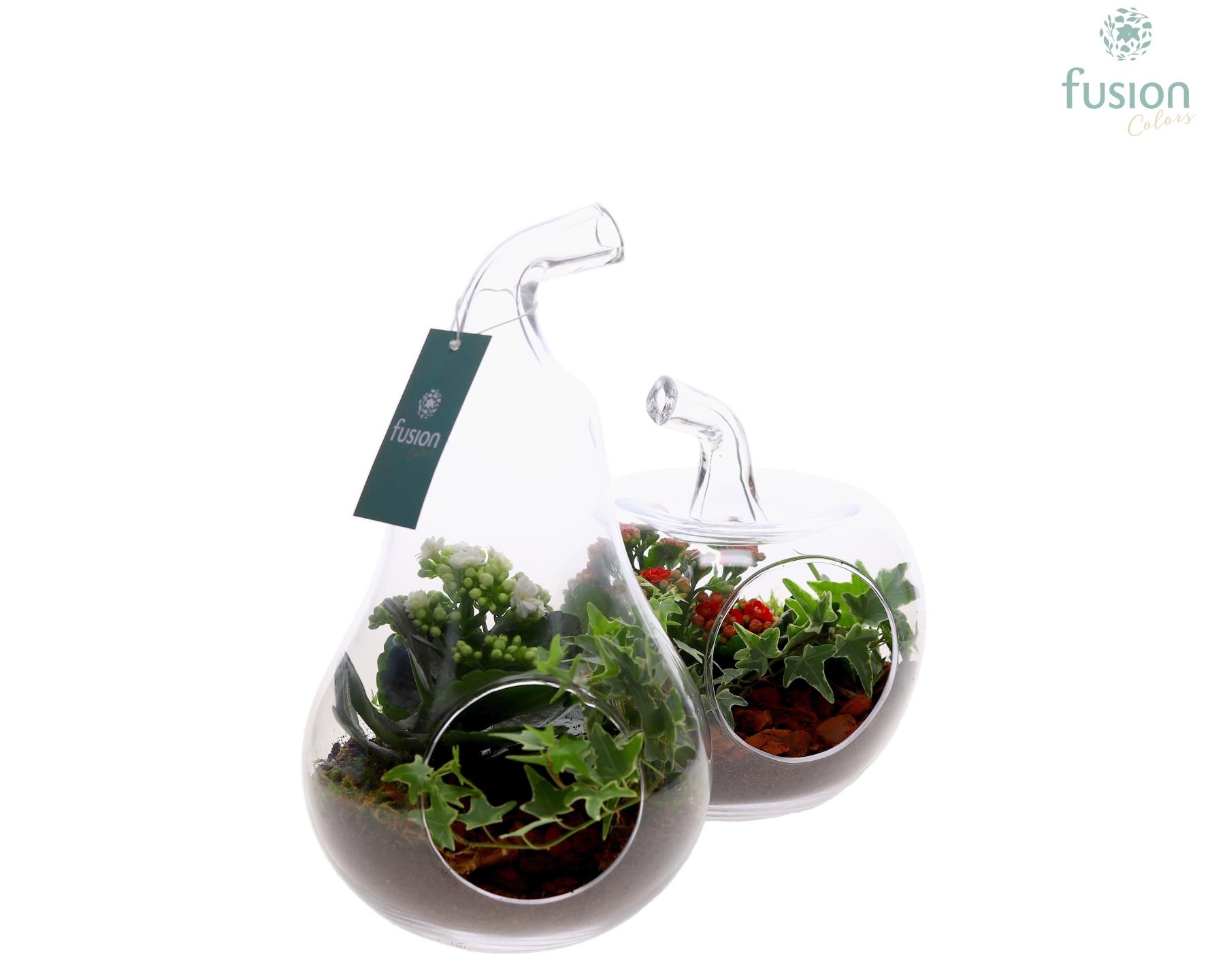 Glas Appel en Peer met arrangement, D 18