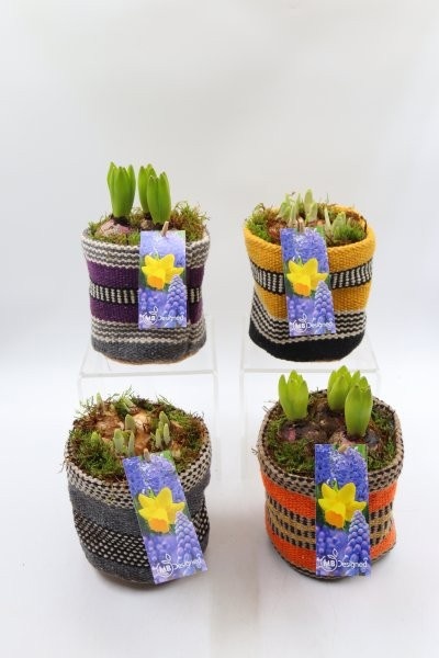 Bollen, gekleurde zakjes; mix, D 14