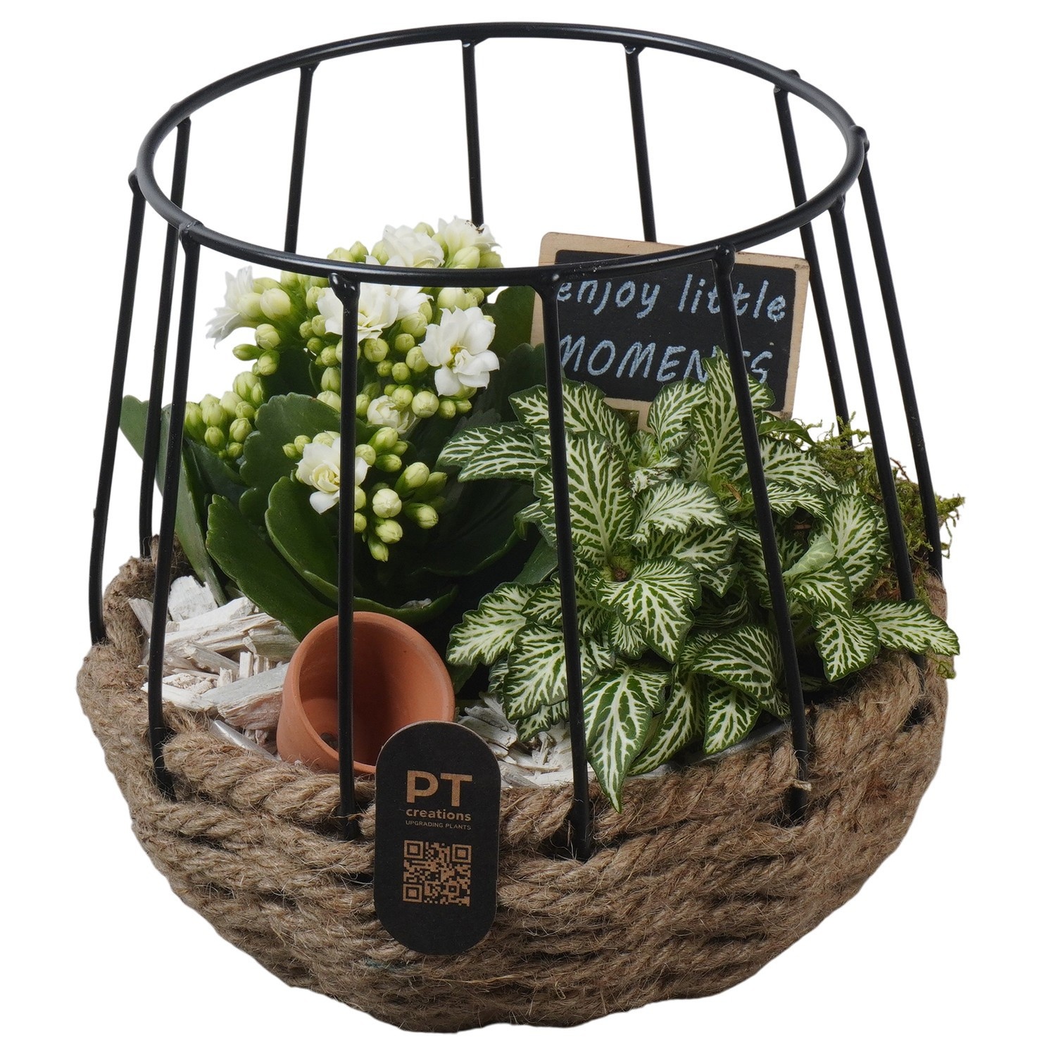 PTIB5268 Arrangement Indoor in touwmand met metaal, D 15