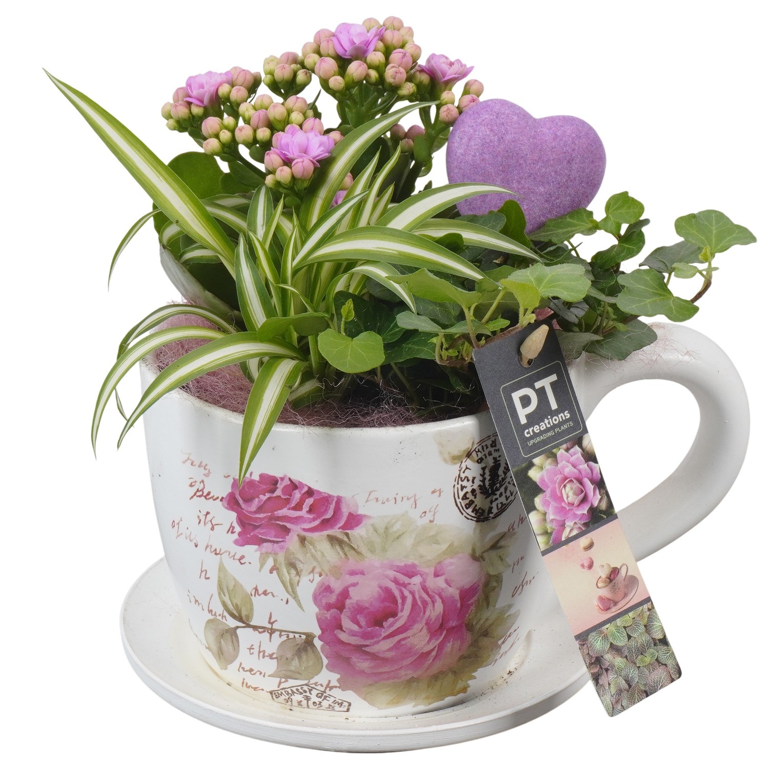 PTVMB2267 Arrangement Valentines-Mothersday in keramiek kop en schotel, D 14