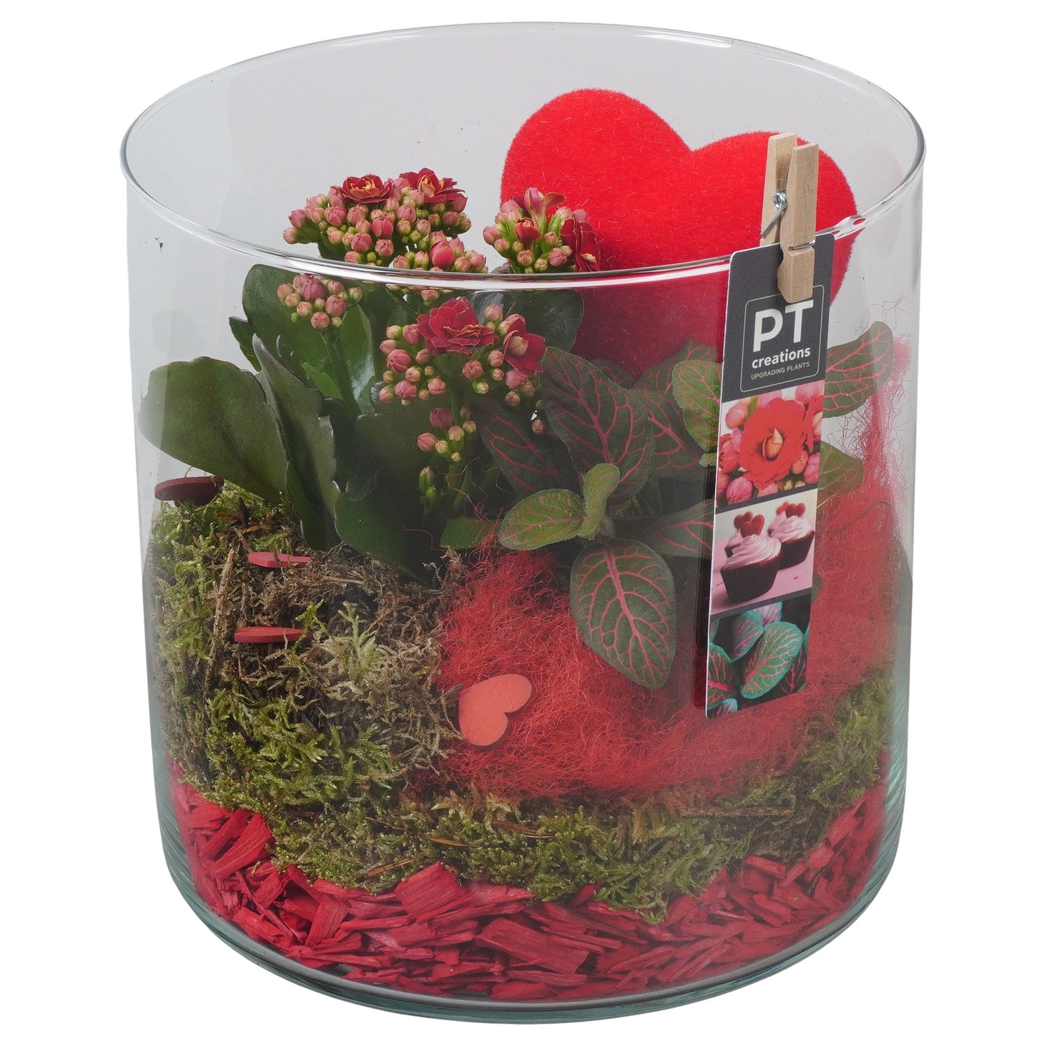 PTVMG4926 Arrangement Valentines-Mothersday in glas vaas, D 19