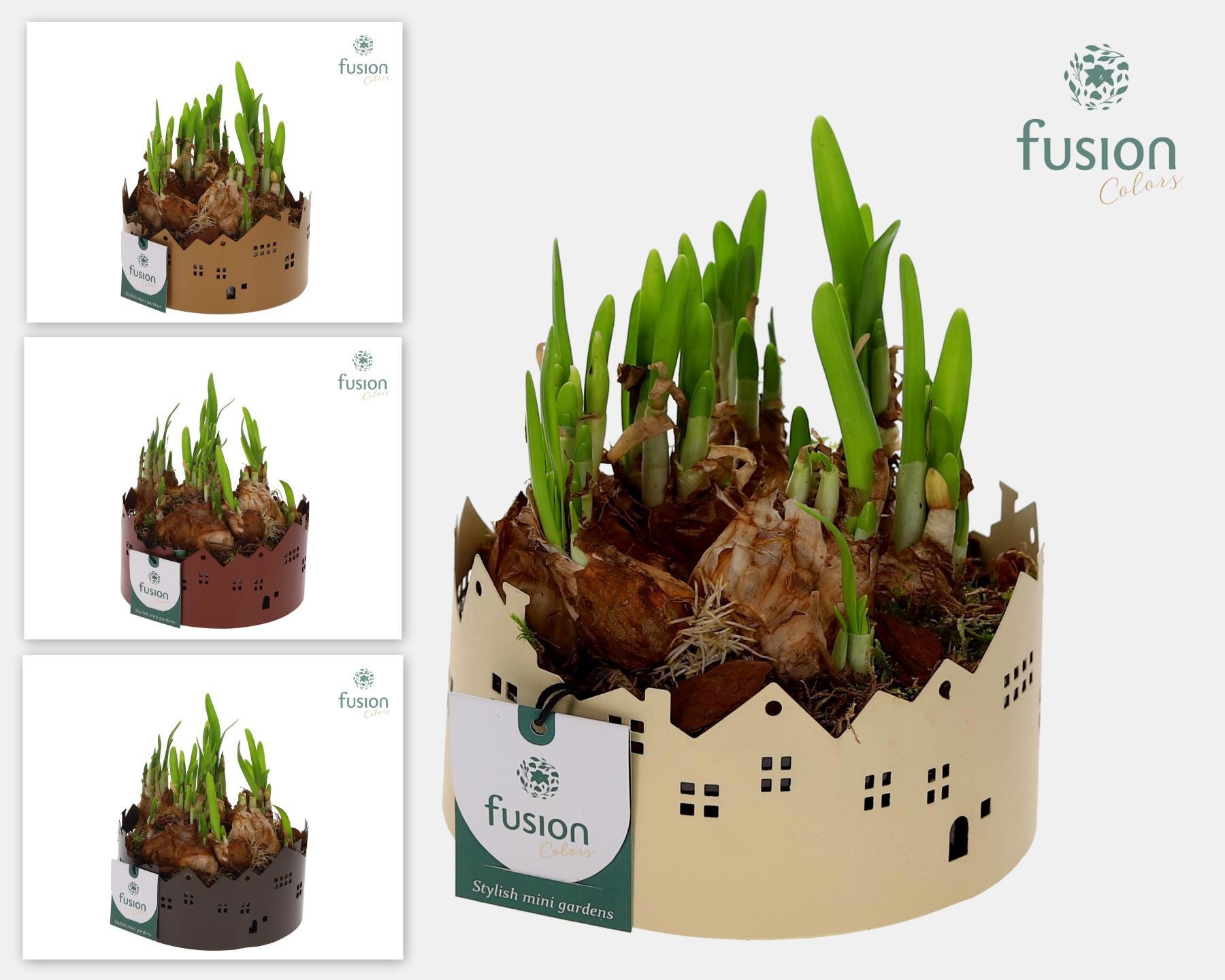 Zinken schaal Huisjes Small met Narcis, D 15 cm