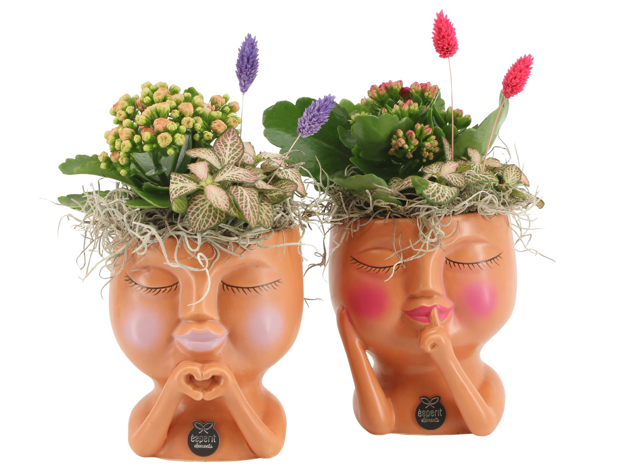 21604: Lovess arrangement, D 12