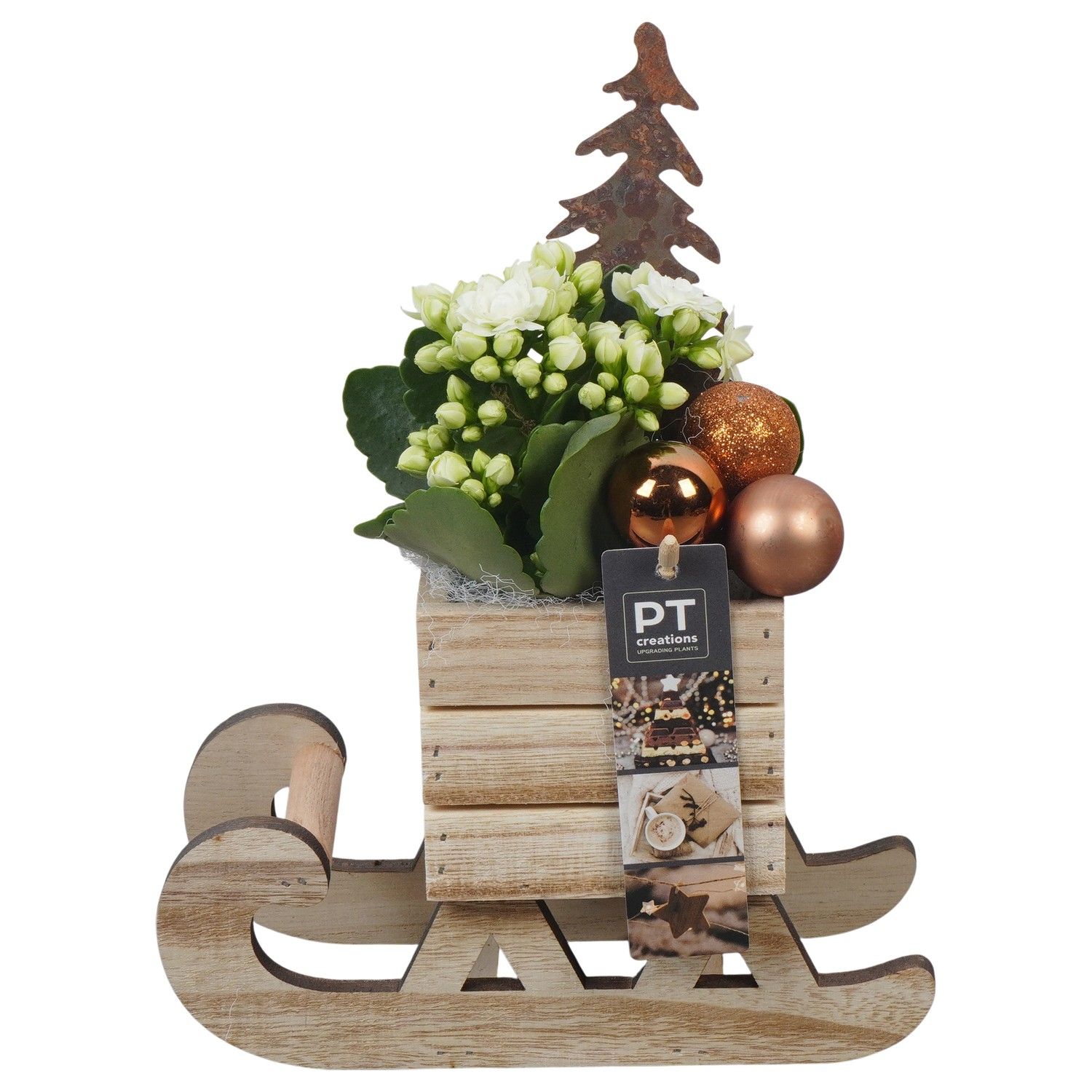 PTCHB9816 Arrangement Christmas Bronze in houten slee, D 20 cm