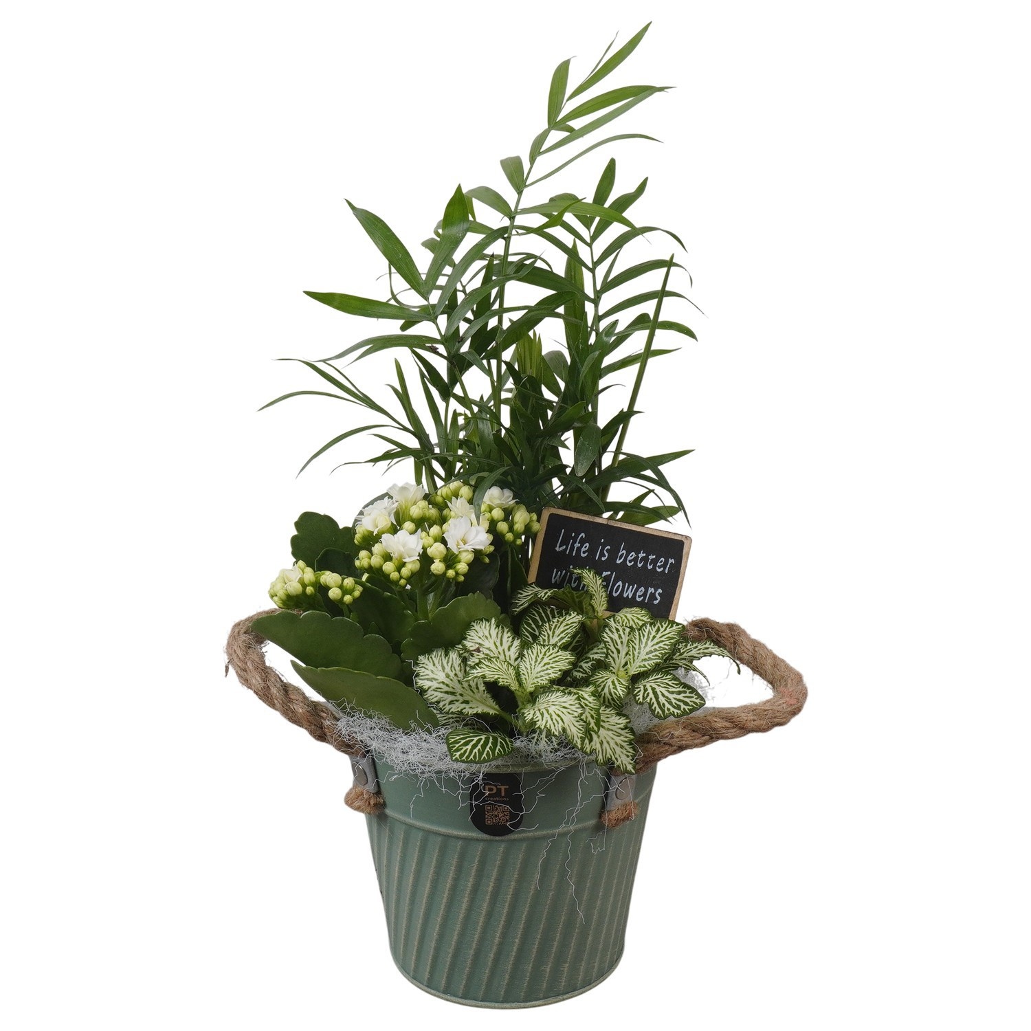 PTIB5284 Arrangement Indoor in metalen pot, D 13