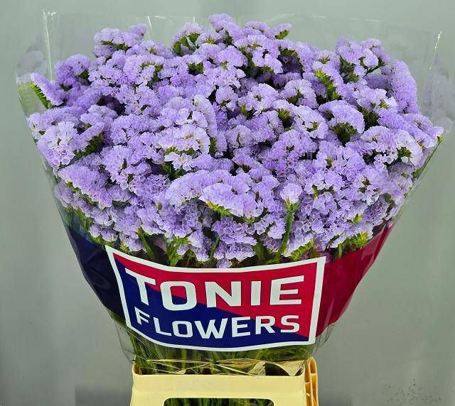 Статица Донаю Бердс 70, шт.