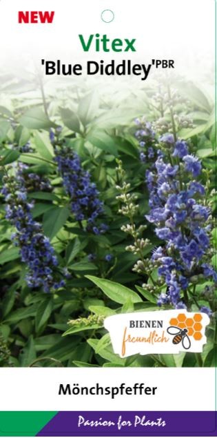 Vitex a.c. 'Blue Diddley' C5, D 23 cm