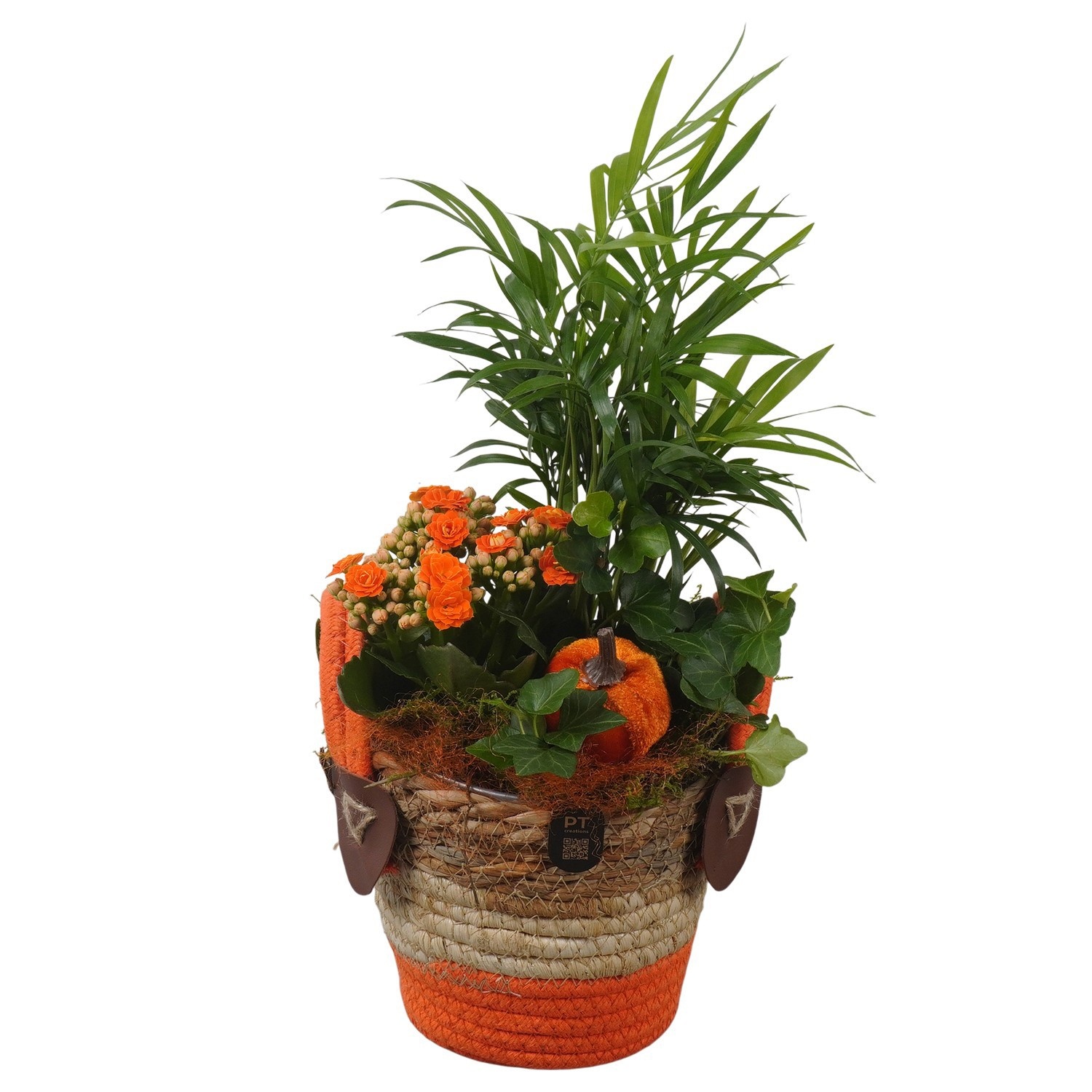 PTHI3298 Arrangement Autumn Indoor in rieten mand, D 14