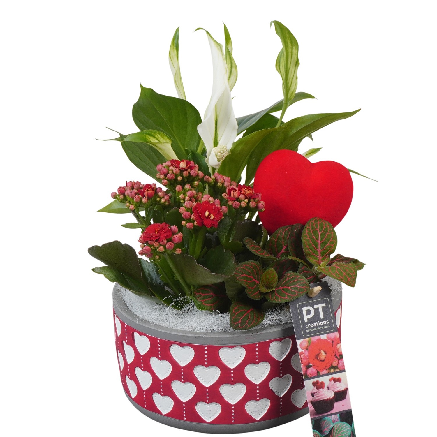 PTVMB2308 Arrangement Valentines-Mothersday in beton sierpot, D 16