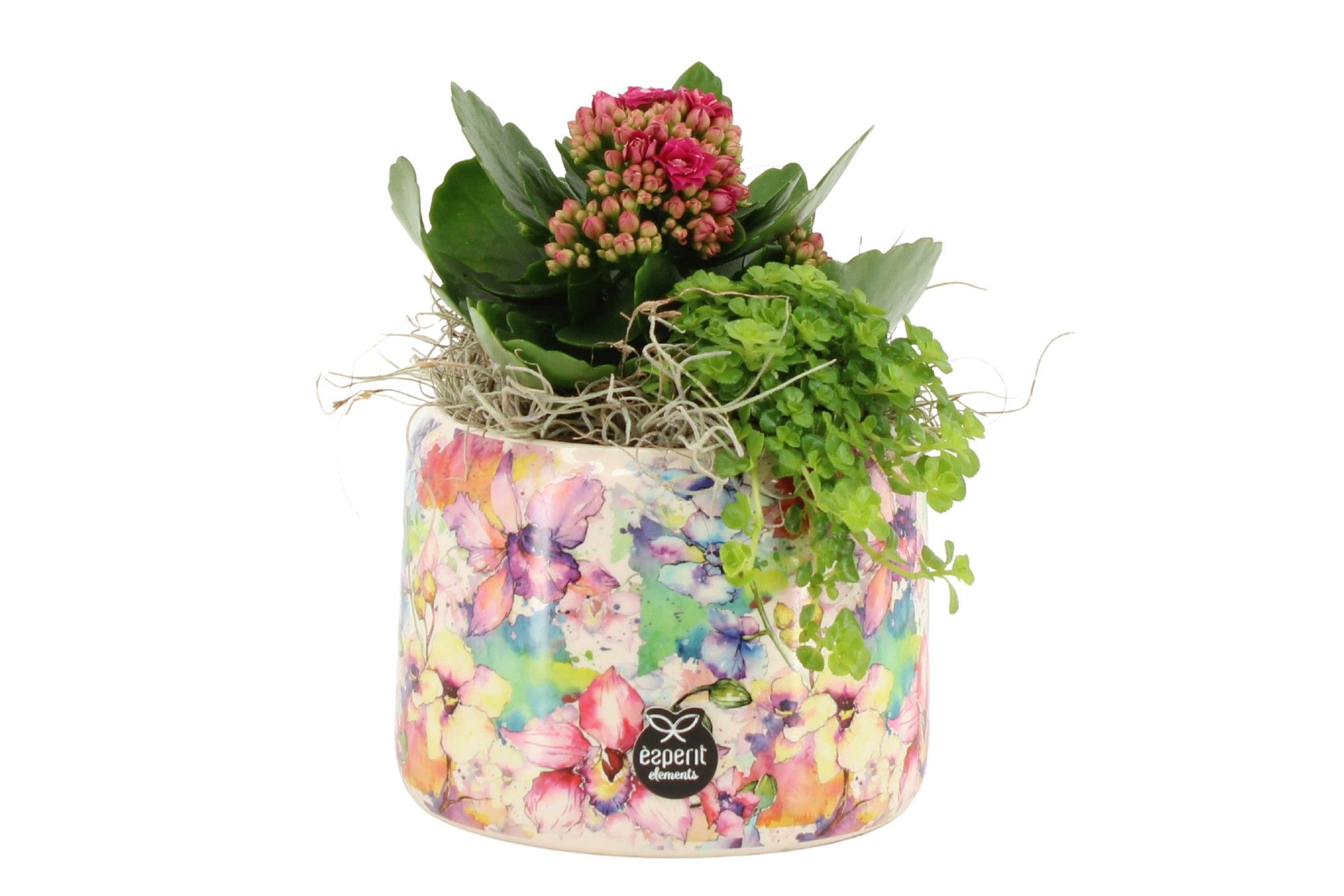 21537: Lovess arrangement, D 10,5