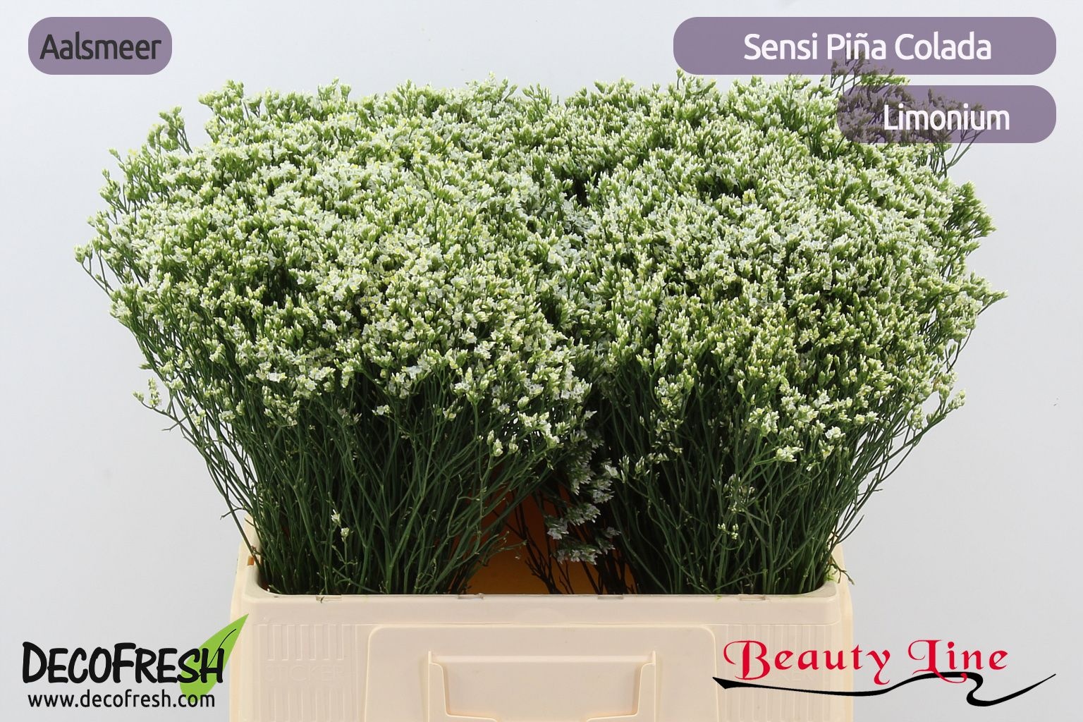 Лимониум Сенси Пина Колада 60, шт.