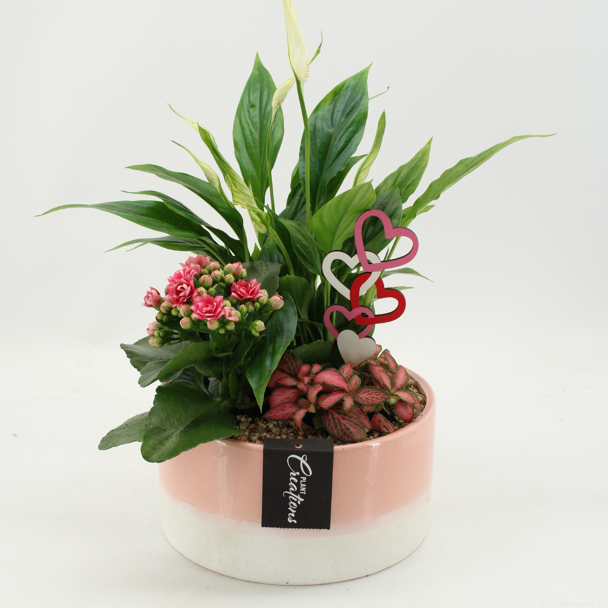 RMCR-2631 Romantic Essentials, D 18