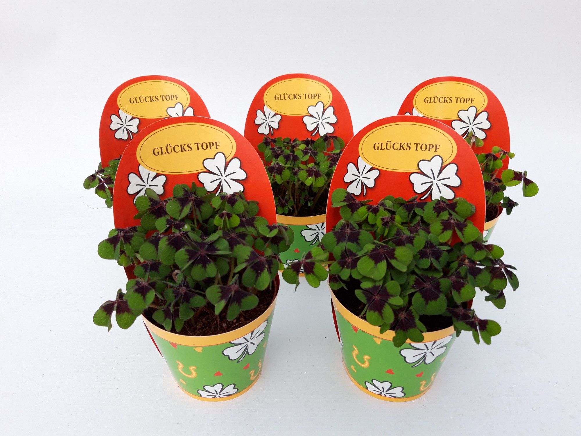 Gelukpotje Duits, D 9 cm