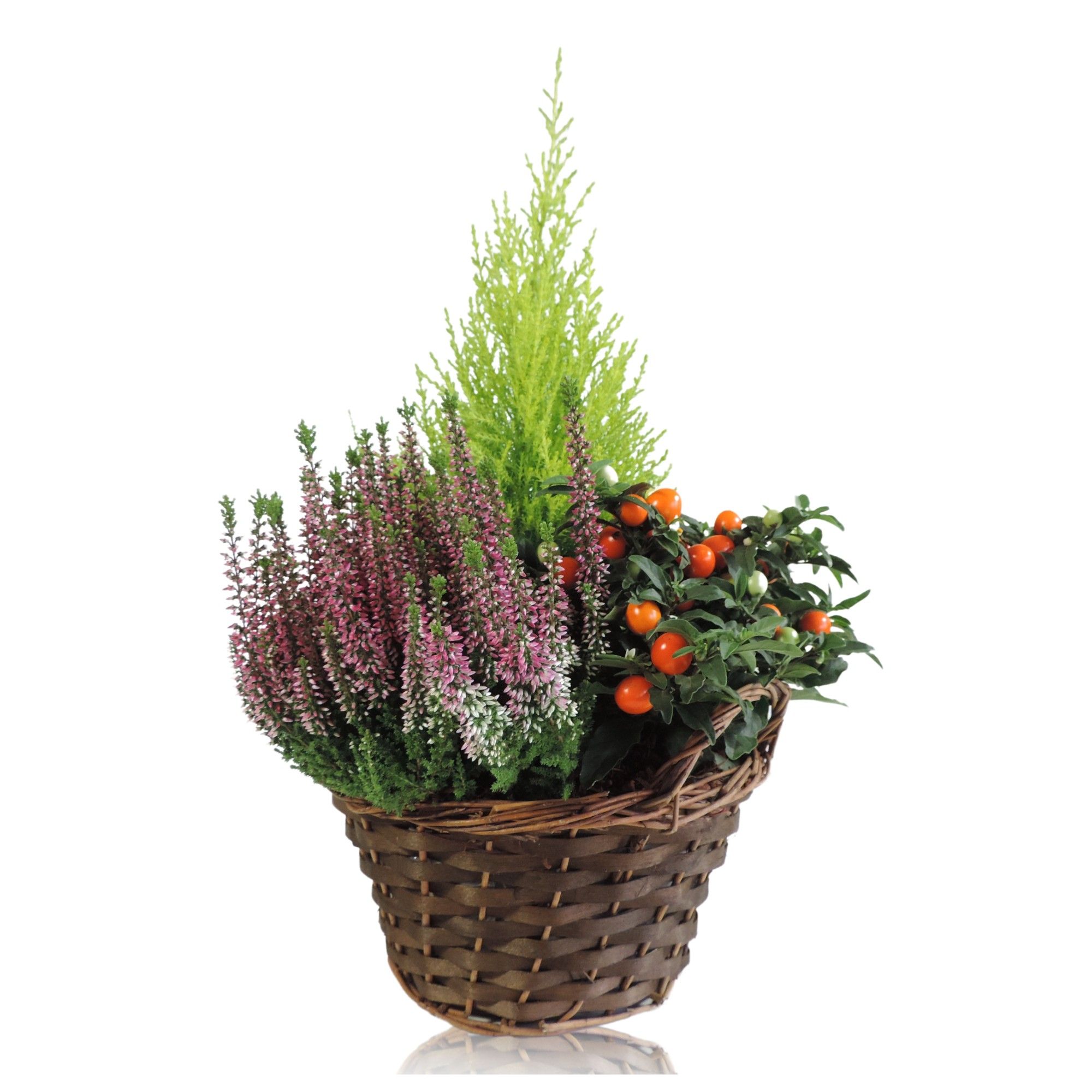 Collectie Hanoi Autumn Arrangement in Mand 22 cm, D 22