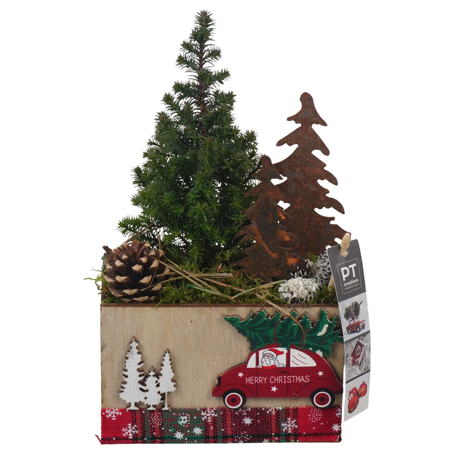 PTCWW6873 Arrangement Winter in houten bak, D 15 cm