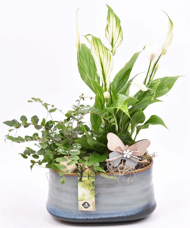 Keramiek ovaal blauw/grijs 19x12cm, D 19