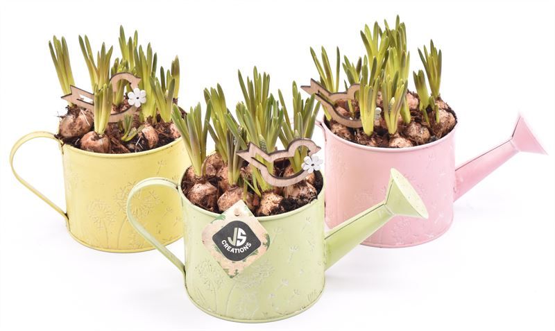 Zink gieter 14cm, D 13