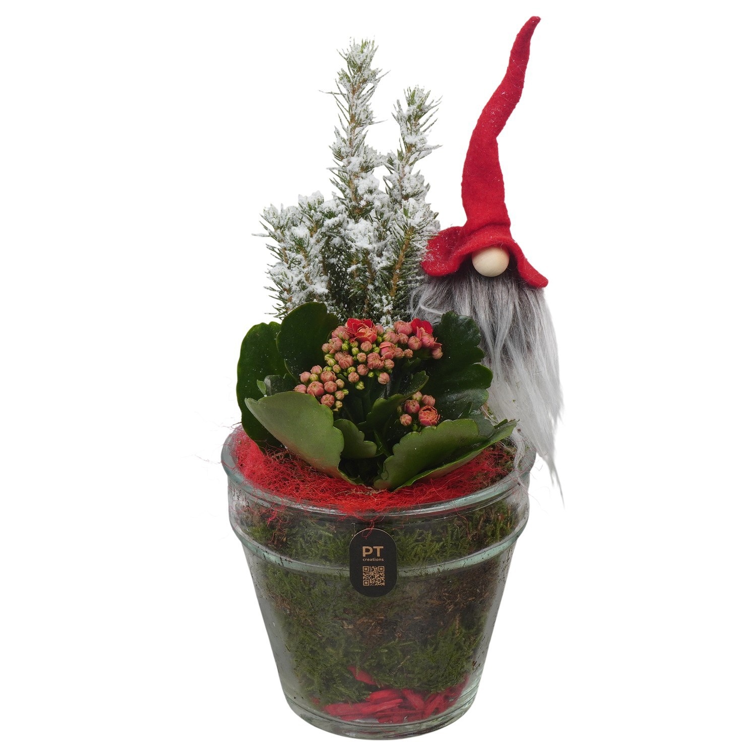 PTCHR9506 Arrangement Christmas Red in glazen vaas, D 13