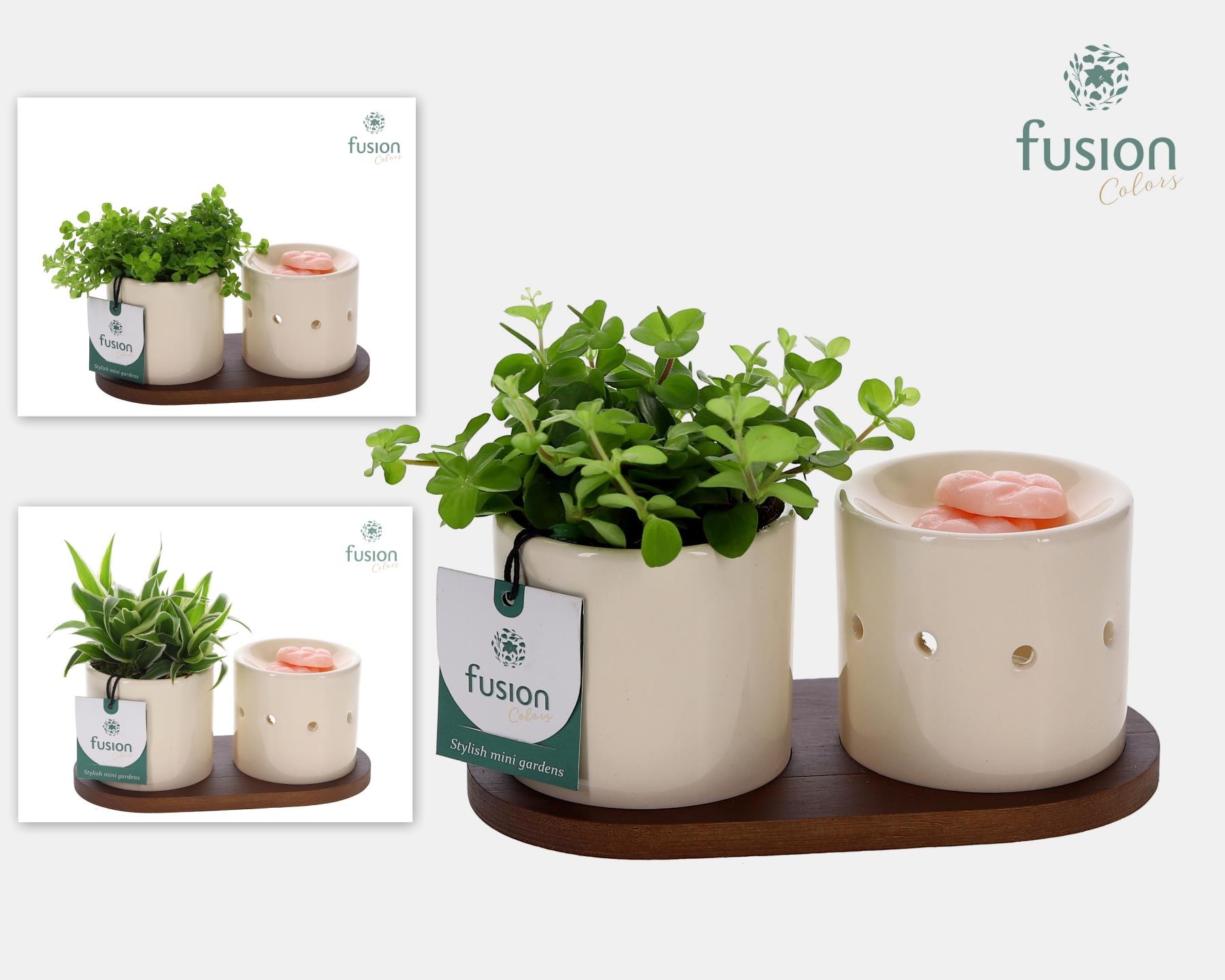 Fusion Scents keramiek Gift set plankje met Groene planten, D 20