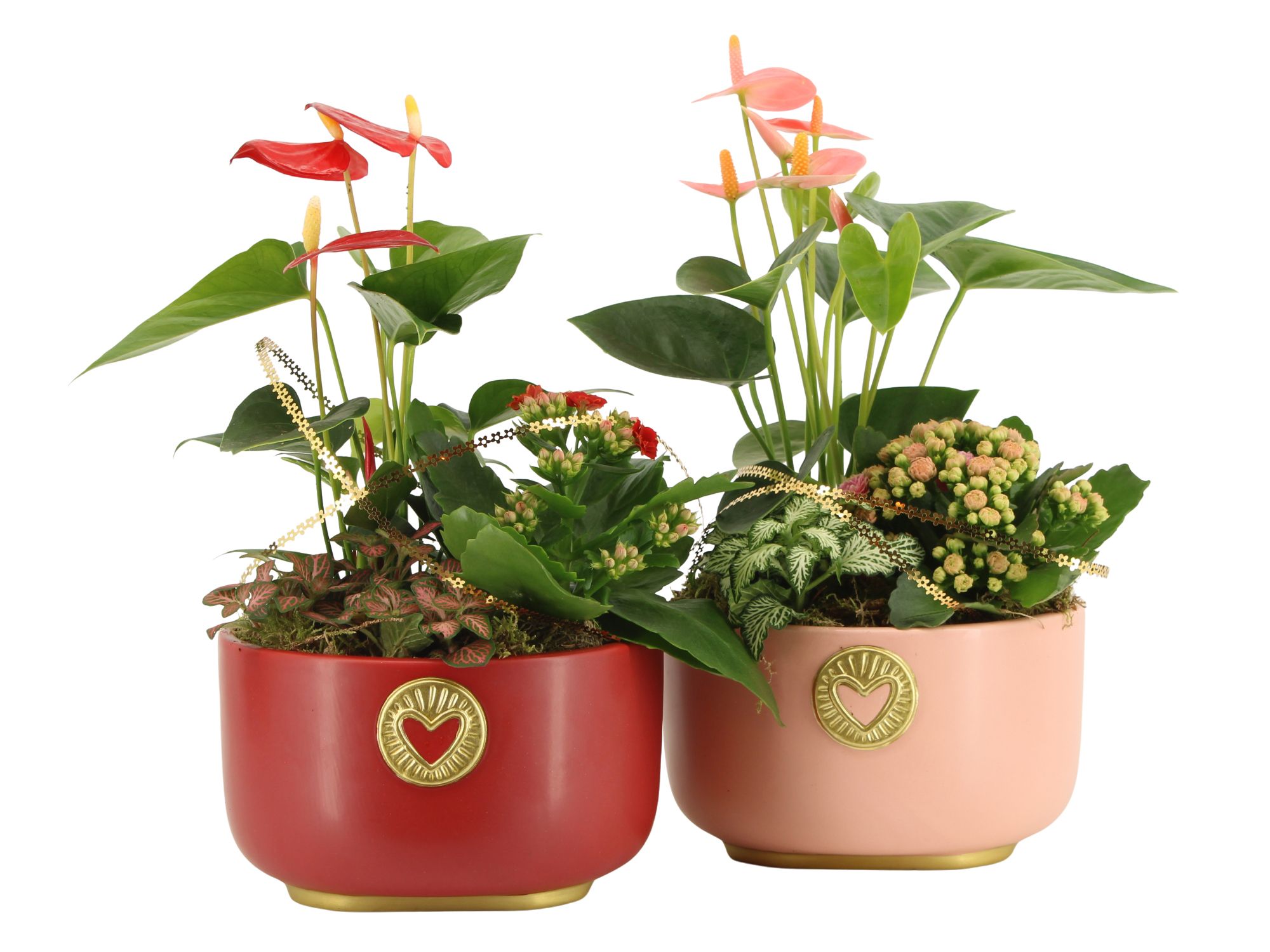 21793: Lovess arrangement, D 17