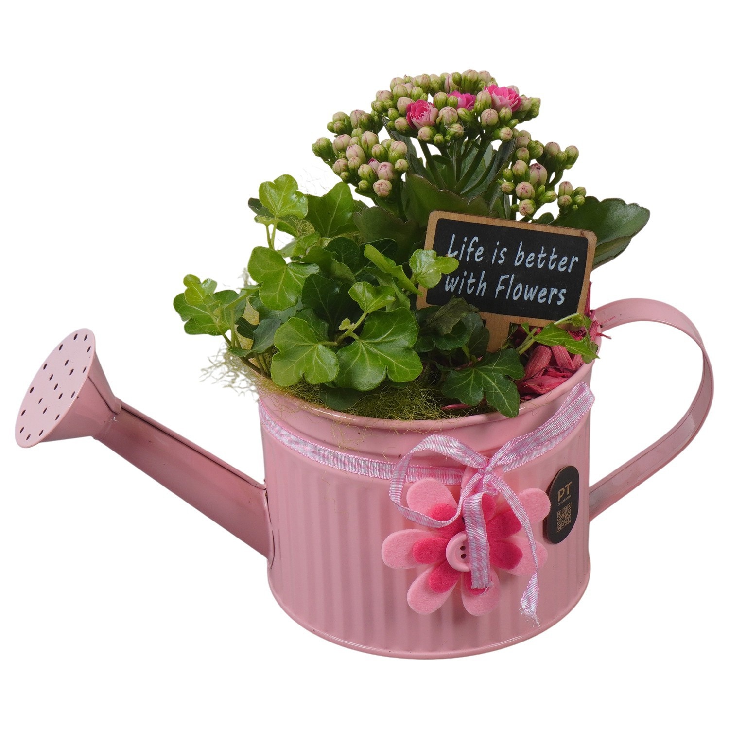 PTIB5310 Arrangement Indoor in metalen gieter, D 12