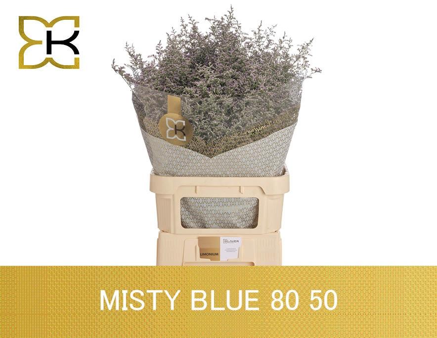Лимониум Мисти Блю 80, шт.