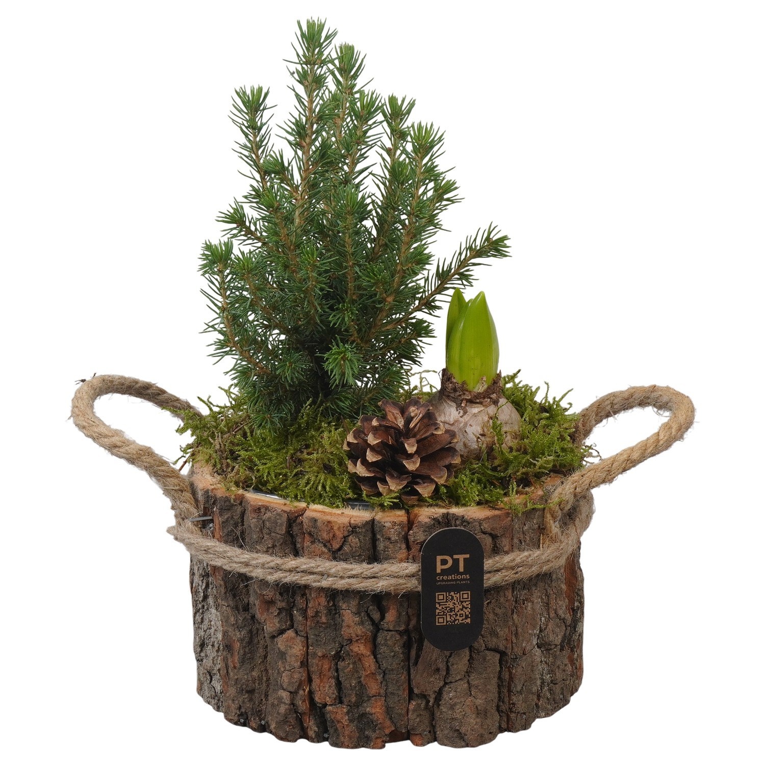 PTWO2815 Arrangement Winter Outdoor in houten bak, D 17