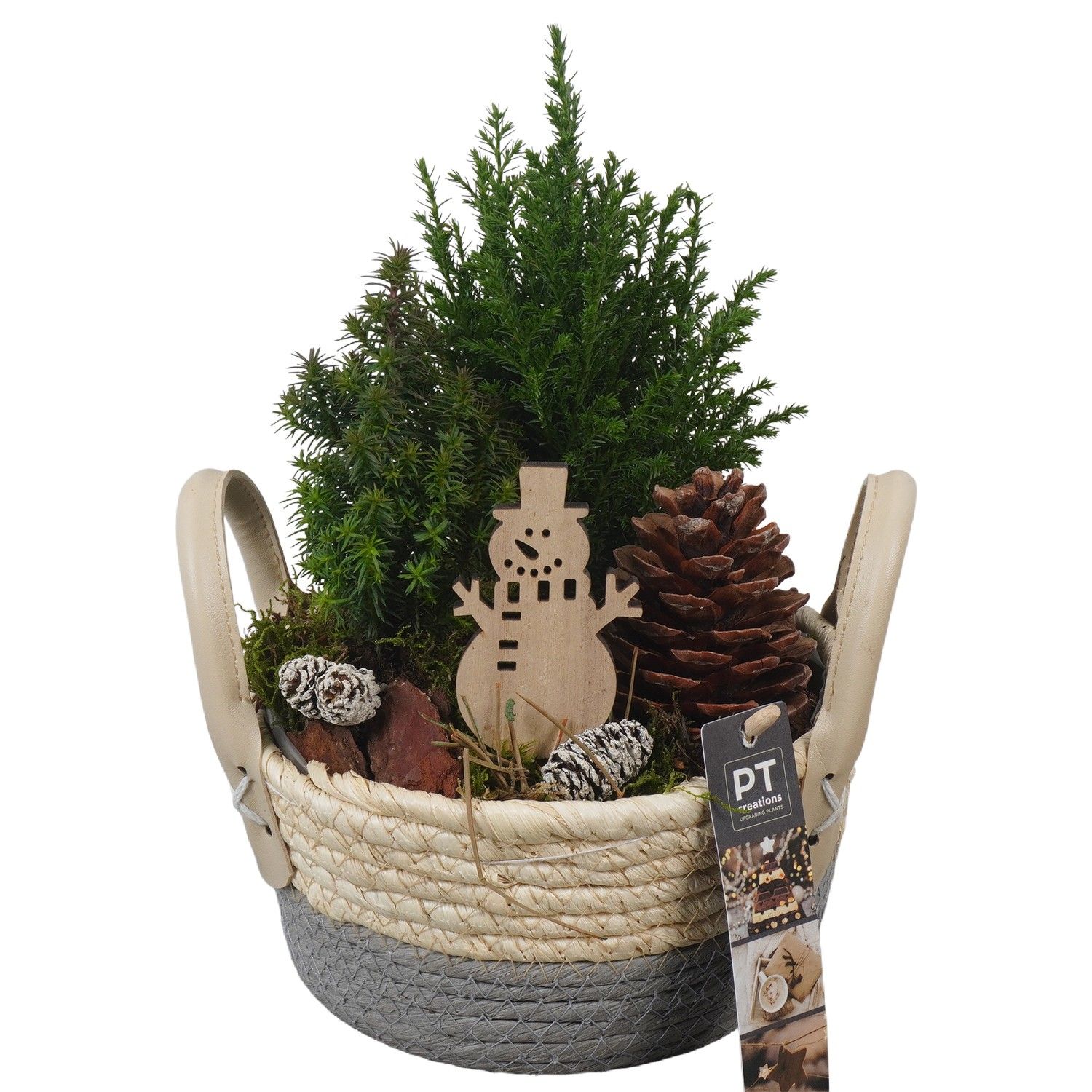 PTCWW6885 Arrangement Winter in rieten mand, D 17 cm