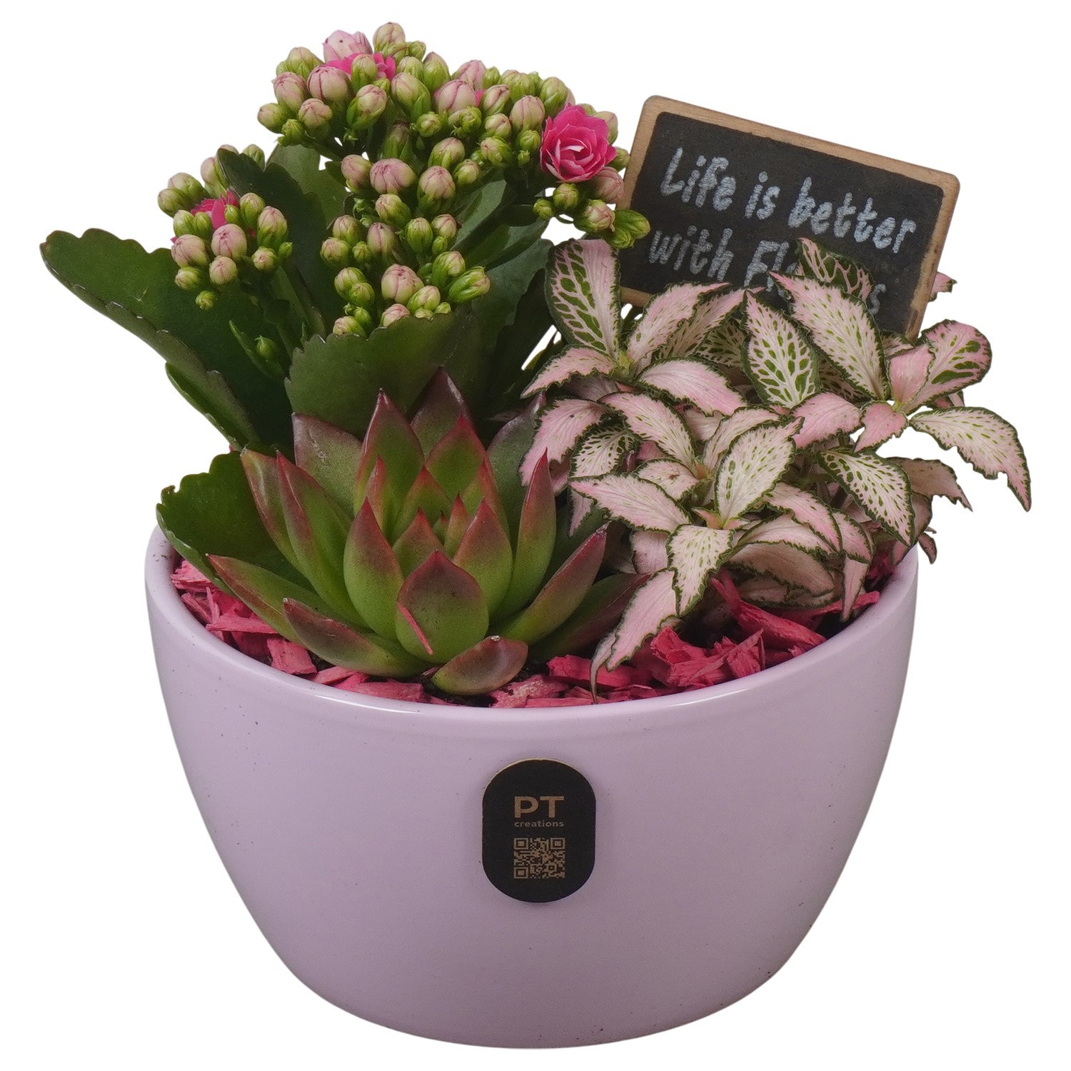 PTIB5131 Arrangement Indoor in keramiek schaal, D 14