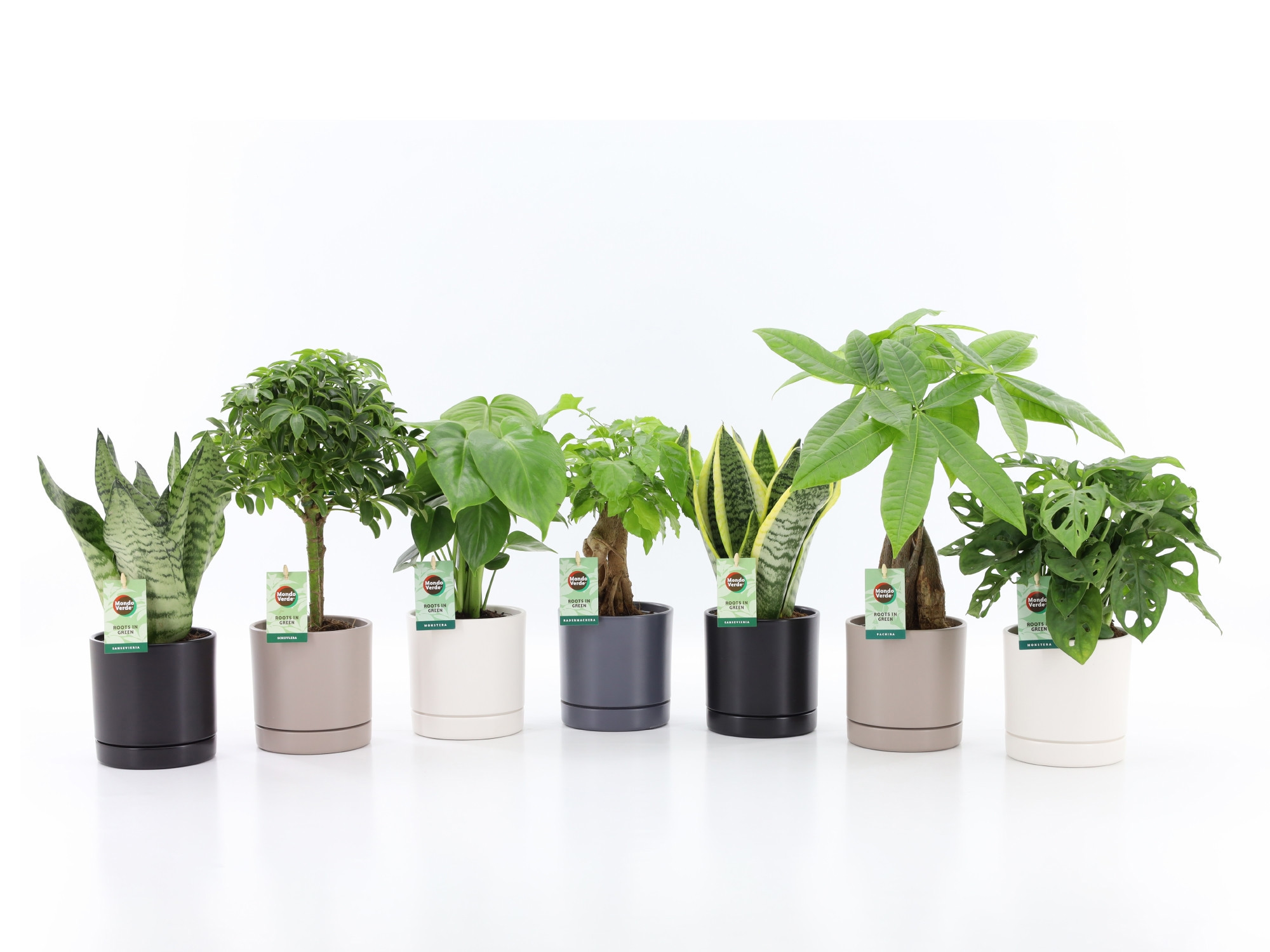 Easy to Care Mix in Hainan Keramiek 4 kleuren, D 13