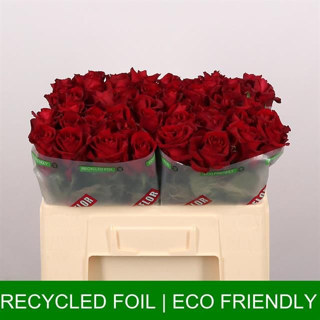 Роза од. Эвер Рэд 50, шт.