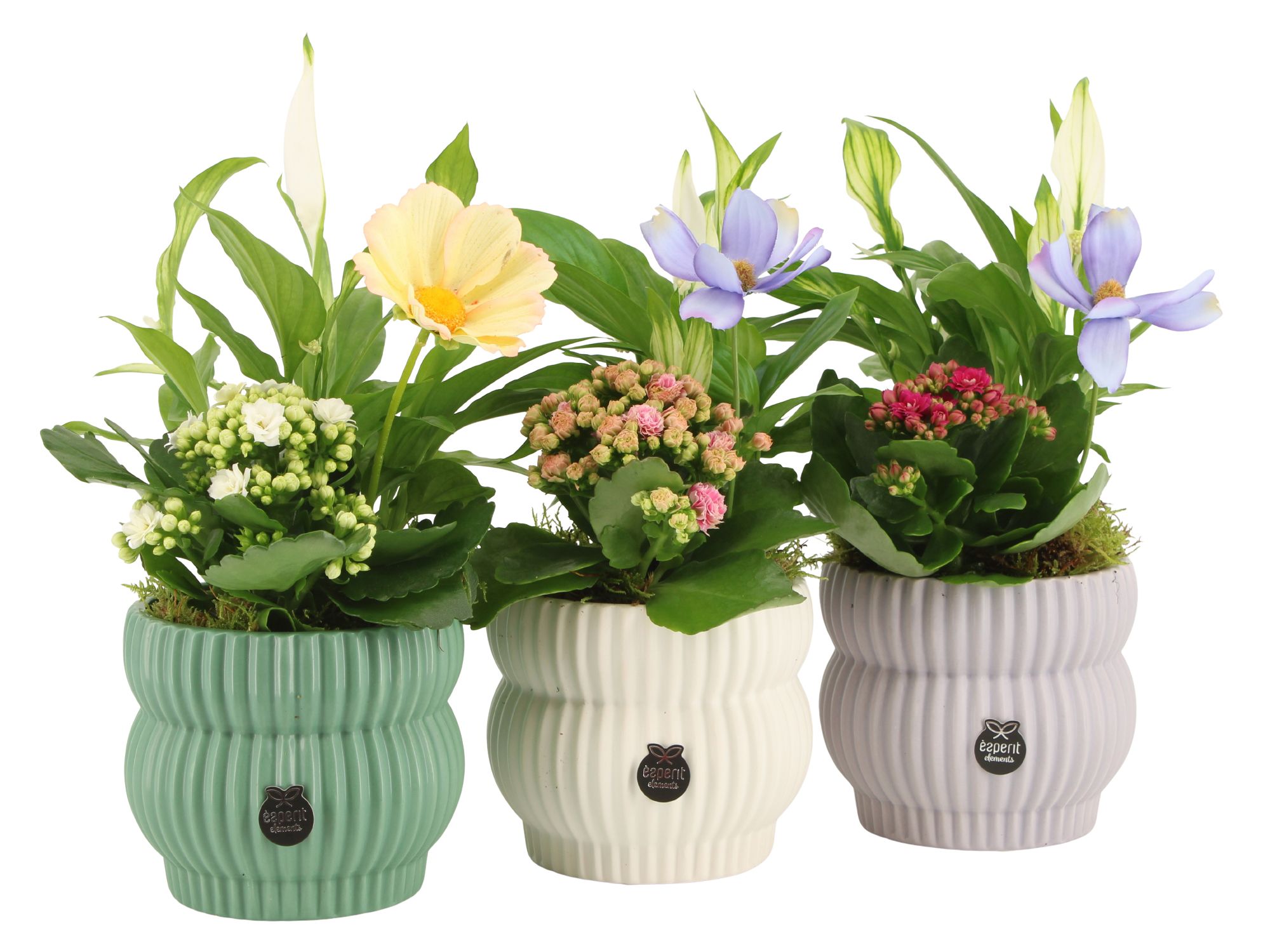 11559: Consideration arrangement, D 12 cm