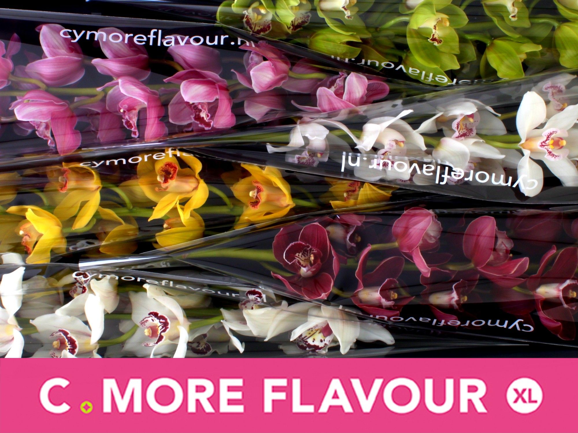 Цимбидиум Микс 80 x6, шт.