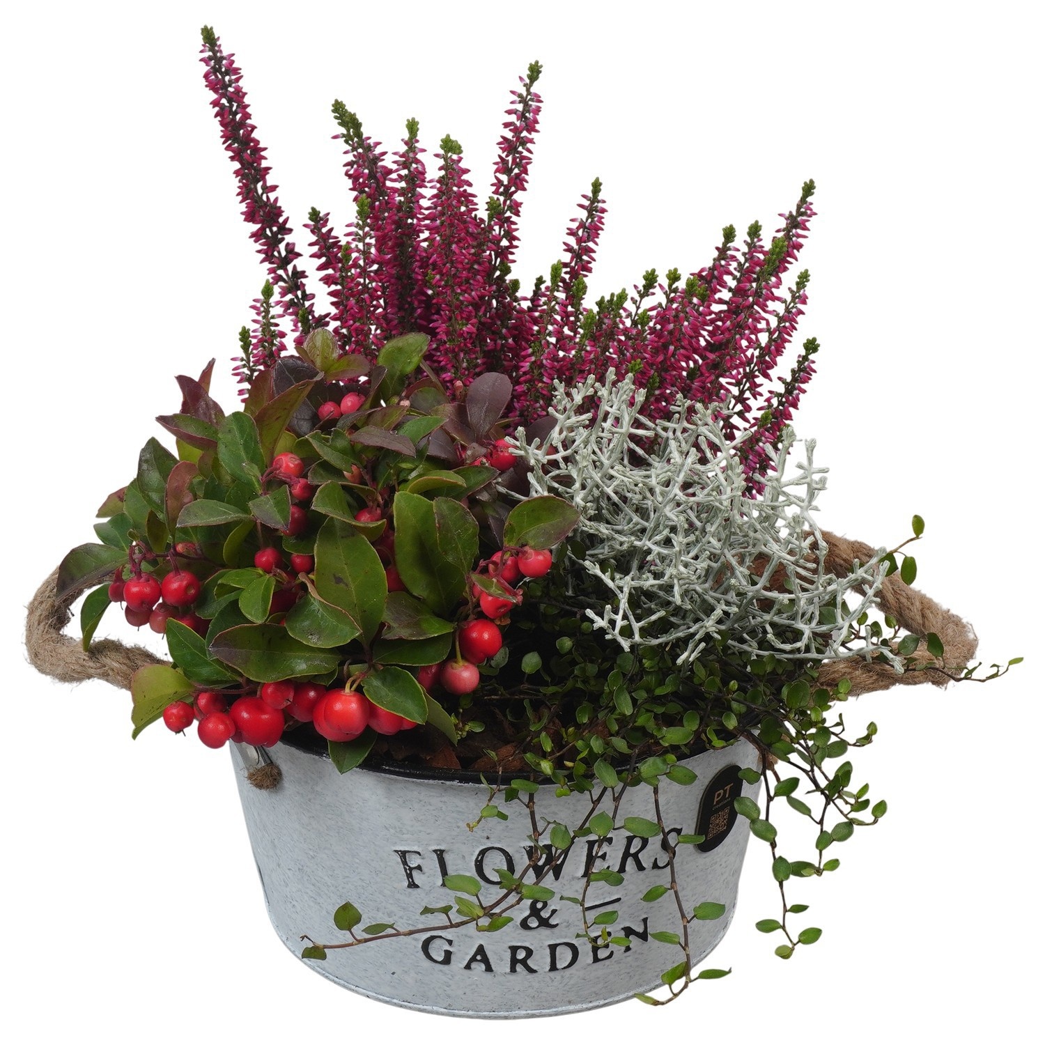 PTHO7623 Arrangement Autumn Outdoor in metalen pot, D 18