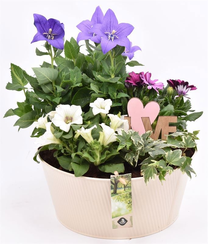 Zink schaal ribbel creme 25cm, D 25