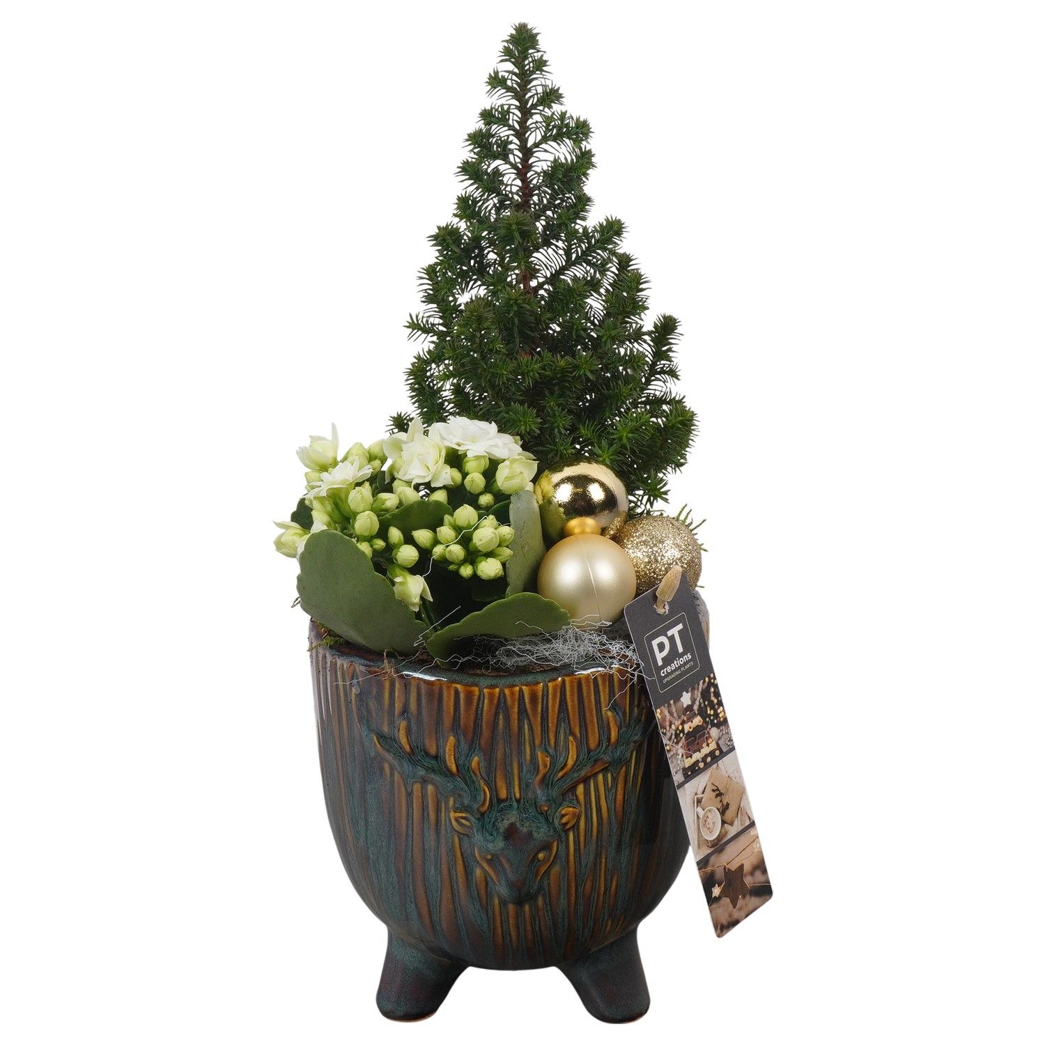 PTCHG5636 Arrangement Christmas Gold in keramiek pot, D 13 cm