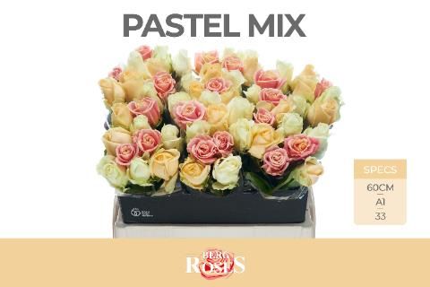 Роза од. Аваланш Микс в пачке 60, шт.