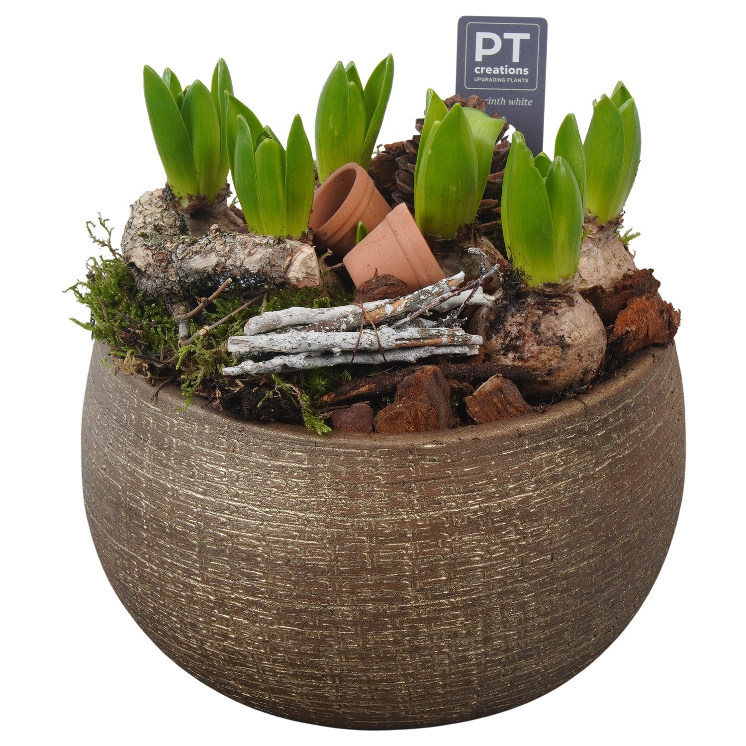 PTWH4029 Arrangement Winter Hyacint in keramiek schaal, D 23