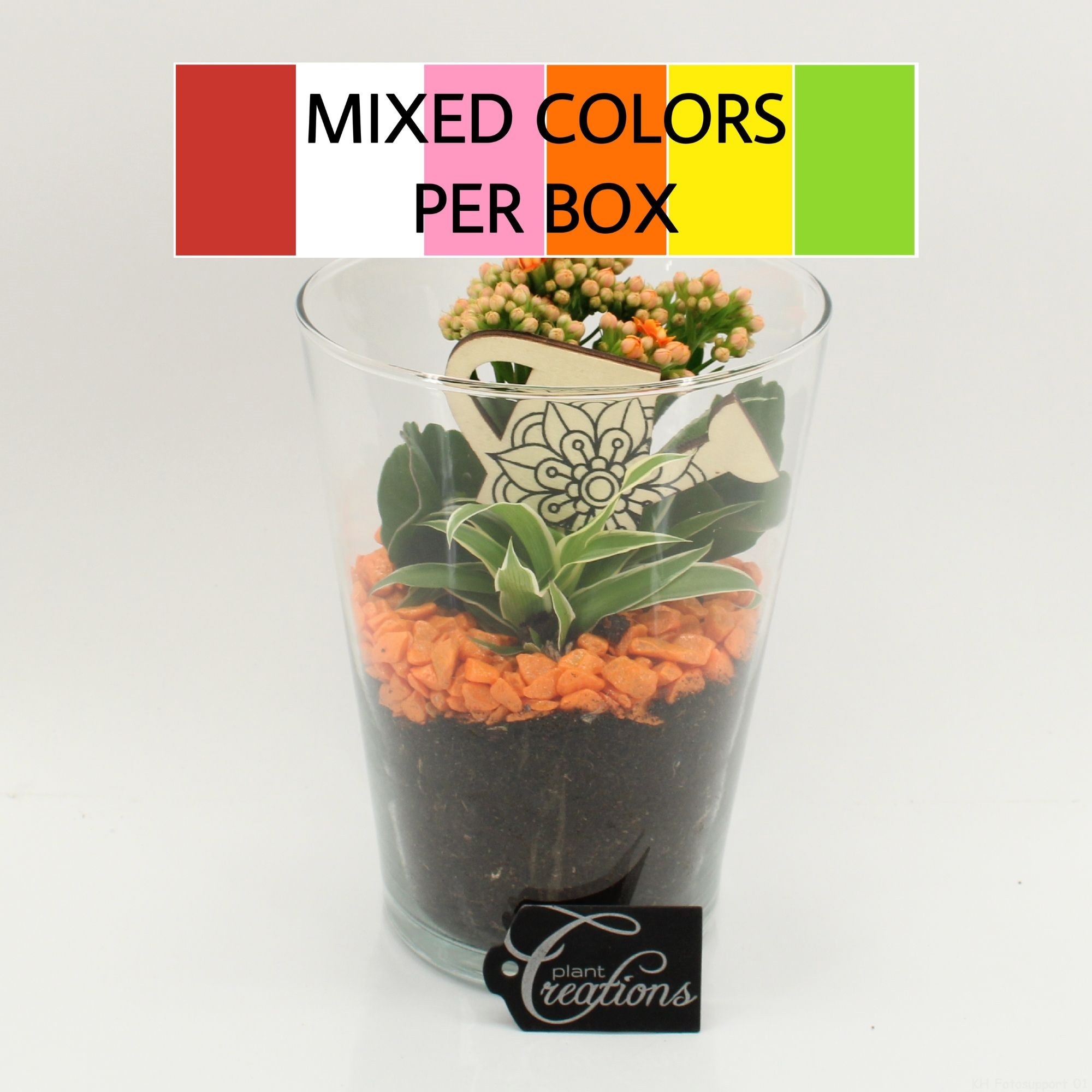 FDCR-2604M Basic Fundamentals, D 14