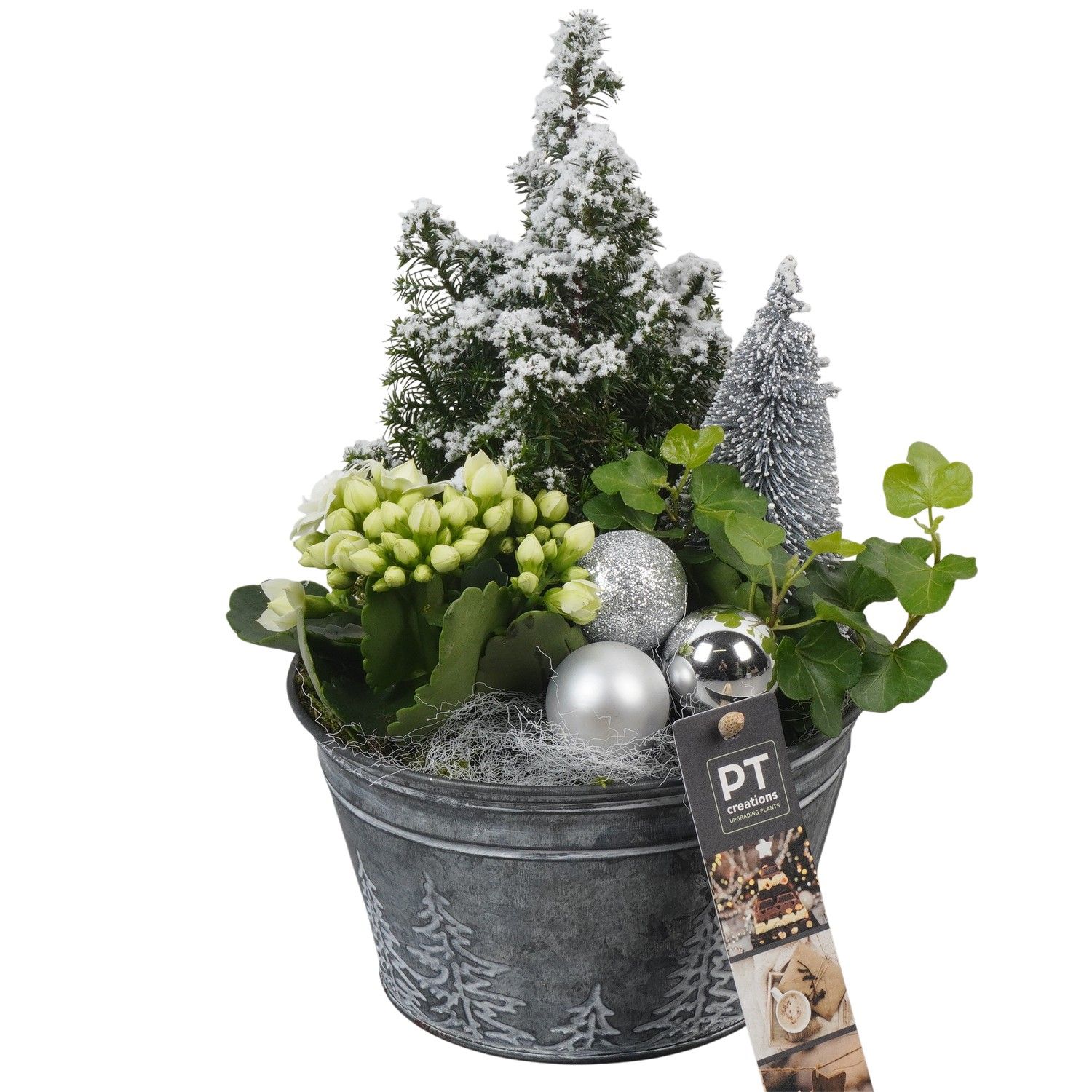 PTCHW4322 Arrangement Christmas White in metalen pot, D 15 cm