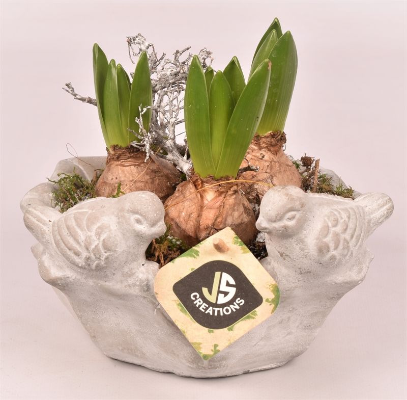 Cement vogelschaal 18cm, D 18