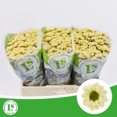 Сантини Росси Крем (крем.), шт.